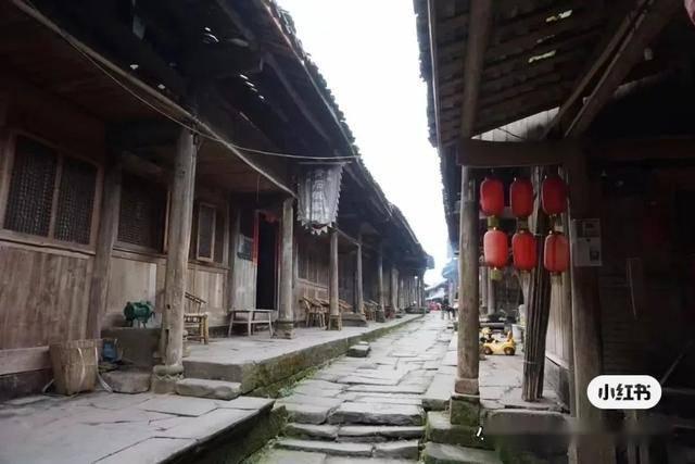 泡弹学院